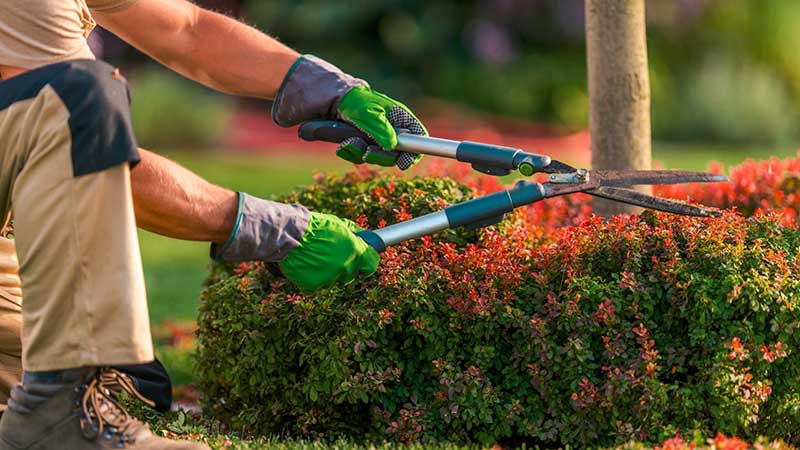 maintenance services 2